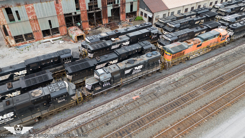 NS 5344